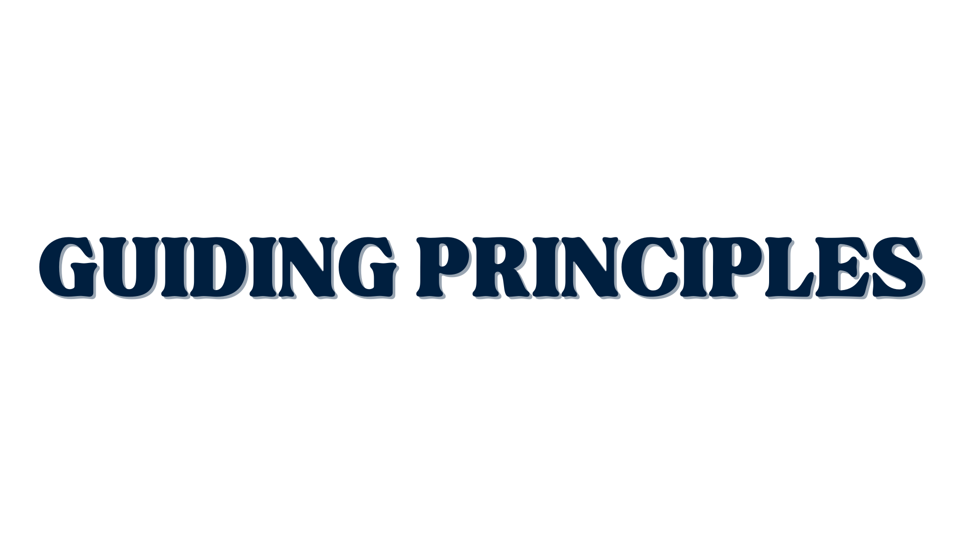 guidingprinciples
